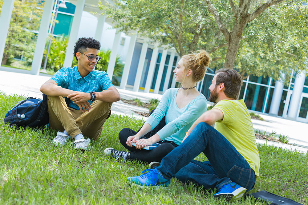 Group of students sitting on grass